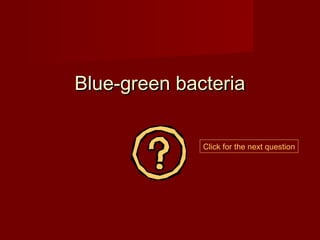 Blue-green bacteria


              Click for the next question
 