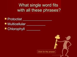 What single word fits
        with all these phrases?
 Protoctist _________________
 Multicellular ___________
 Chlorophyll   ________




                      Click for the answer
 