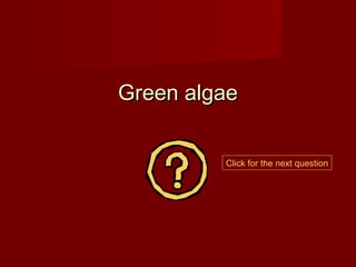 Green algae


         Click for the next question
 