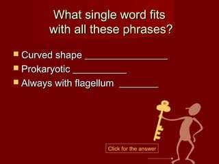 What single word fits
        with all these phrases?
 Curved shape _________________
 Prokaryotic ___________
 Always with flagellum   ________




                     Click for the answer
 