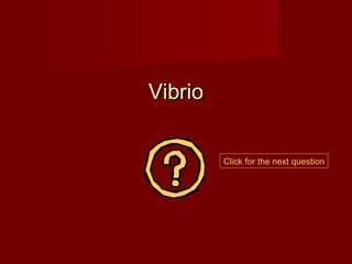 Vibrio


         Click for the next question
 