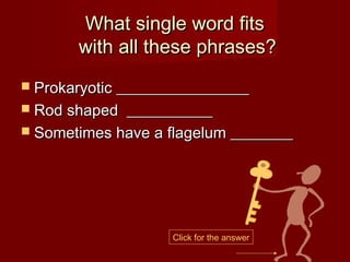 What single word fits
       with all these phrases?
 Prokaryotic _________________
 Rod shaped ___________
 Sometimes have a flagelum ________




                    Click for the answer
 