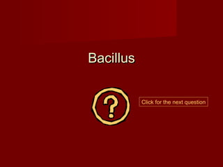 Bacillus


           Click for the next question
 