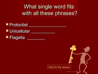 What single word fits
        with all these phrases?
 Protoctist _________________
 Unicellular ___________
 Flagella   ________




                        Click for the answer
 