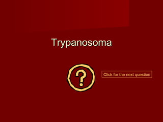 Trypanosoma


         Click for the next question
 