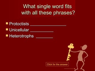 What single word fits
        with all these phrases?
 Protoctists _________________
 Unicellular ___________
 Heterotrophs   ________




                      Click for the answer
 