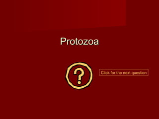 Protozoa


           Click for the next question
 