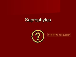 Saprophytes


         Click for the next question
 