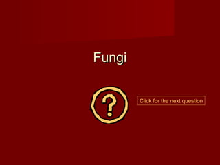 Fungi


        Click for the next question
 
