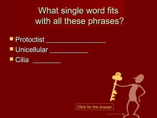 What single word fits
          with all these phrases?
 Protoctist _________________
 Unicellular ___________
 Cilia   ________




                     Click for the answer
 