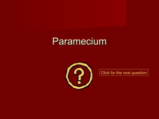 Paramecium


        Click for the next question
 