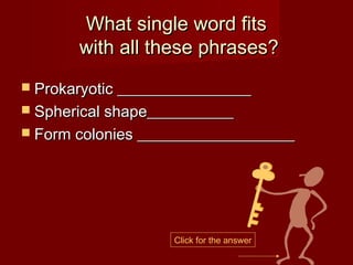 What single word fits
       with all these phrases?
 Prokaryotic _________________
 Spherical shape___________
 Form colonies ____________________




                    Click for the answer
 