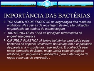 IMPORTÂNCIA DAS BACTÉRIAS
 TRATAMENTO DE ESGOTOS na degradação dos resíduos
orgânicos. Nas usinas de reciclagem de lixo, são utilizadas
na produção de adubos de compostagem.
 BIOTECNOLOGIA : São as principais ferramentas da
engenharia genética
 CIRURGIA PLÁSTICA :A toxina botulínica, produzida pelas
bactérias da espécie Clostridium botulinum tem a capacidade
de paralisar a musculatura, relaxando-a. É conhecida pelo
nome comercial de Botox, muito usada pelos cirurgiões
plásticos, em pequenas quantidades, para a atenuação de
rugas e marcas de expressão .
 