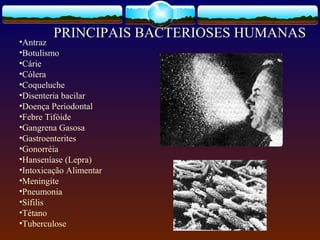 •Antraz
•Botulismo
•Cárie
•Cólera
•Coqueluche
•Disenteria bacilar
•Doença Periodontal
•Febre Tifóide
•Gangrena Gasosa
•Gastroenterites
•Gonorréia
•Hanseníase (Lepra)
•Intoxicação Alimentar
•Meningite
•Pneumonia
•Sífilis
•Tétano
•Tuberculose
PRINCIPAIS BACTERIOSES HUMANAS
 