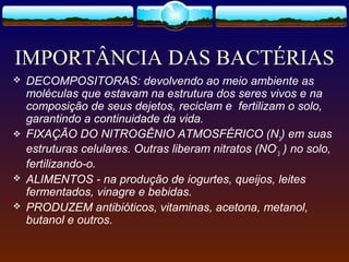 IMPORTÂNCIA DAS BACTÉRIAS
 DECOMPOSITORAS: devolvendo ao meio ambiente as
moléculas que estavam na estrutura dos seres vivos e na
composição de seus dejetos, reciclam e fertilizam o solo,
garantindo a continuidade da vida.
 FIXAÇÃO DO NITROGÊNIO ATMOSFÉRICO (N2
) em suas
estruturas celulares. Outras liberam nitratos (NO-
3
) no solo,
fertilizando-o.
 ALIMENTOS - na produção de iogurtes, queijos, leites
fermentados, vinagre e bebidas.
 PRODUZEM antibióticos, vitaminas, acetona, metanol,
butanol e outros.
 