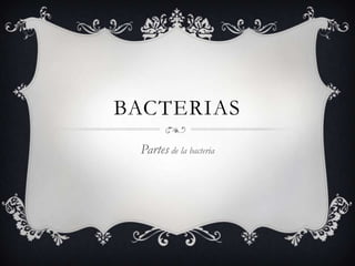 BACTERIAS
Partes de la bacteria
 
