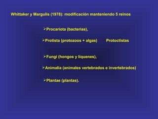 Whittaker y Margulis (1978): modificación manteniendo 5 reinos
Procariota (bacterias),
Animalia (animales vertebrados e invertebrados)
Plantae (plantas).
Protista (protozoos + algas) Protoctistas
Fungi (hongos y líquenes),
 