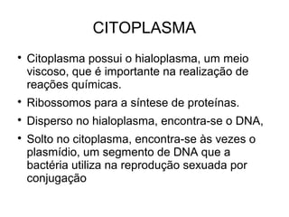 
Citoplasma possui o hialoplasma, um meio
viscoso, que é importante na realização de
reações químicas.

Ribossomos para a síntese de proteínas.

Disperso no hialoplasma, encontra-se o DNA,

Solto no citoplasma, encontra-se às vezes o
plasmídio, um segmento de DNA que a
bactéria utiliza na reprodução sexuada por
conjugação
CITOPLASMA
 