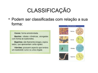 CLASSIFICAÇÃO

Podem ser classificadas com relação a sua
forma:
 
