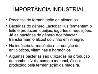 IMPORTÂNCIA INDUSTRIAL

Processo de fermentação de alimentos.

Bactérias do gênero Lactobacillus fermentam o
leite e produzem queijos, iogurtes e requeijões.
Já as bactérias do gênero Acetobacter
transformam o álcool do vinho em vinagre.

Na indústria farmacêutica - produção de
antibióticos, vitaminas e hormônios

Algumas bactérias são utilizadas na produção
de combustíveis, como o metanol, álcool
produzido pela fermentação da madeira.
 