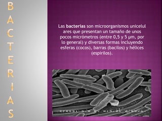 Las bacterias son microorganismos unicelul
ares que presentan un tamaño de unos
pocos micrómetros (entre 0,5 y 5 μm, por
lo general) y diversas formas incluyendo
esferas (cocos), barras (bacilos) y hélices
(espirilos).
 
