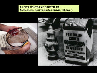 A LOITA CONTRA AS BACTERIAS:
Antibióticos, desinfectantes (lixivía, xabóns..).

 