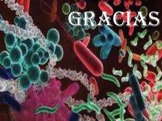 gracias
 