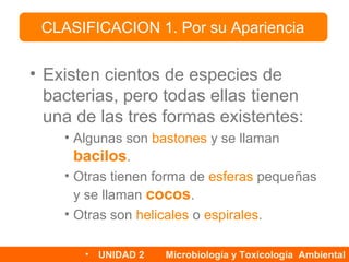 Las bacterias: su caracterización y clasificación NM4 Biología
• Existen cientos de especies de
bacterias, pero todas ellas tienen
una de las tres formas existentes:
• Algunas son bastones y se llaman
bacilos.
• Otras tienen forma de esferas pequeñas
y se llaman cocos.
• Otras son helicales o espirales.
CLASIFICACION 1. Por su Apariencia
• UNIDAD 2 Microbiología y Toxicología Ambiental
 