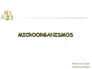 MICROORGANISMOSMICROORGANISMOS
Norma Cruz Tapia
Profesora Biología
 