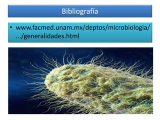 Bibliografía
• www.facmed.unam.mx/deptos/microbiologia/
.../generalidades.html
 