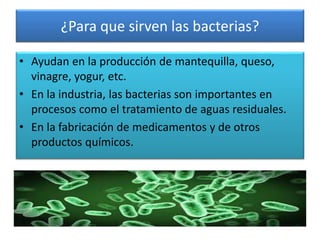¿Para que sirven las bacterias?
• Ayudan en la producción de mantequilla, queso,
vinagre, yogur, etc.
• En la industria, las bacterias son importantes en
procesos como el tratamiento de aguas residuales.
• En la fabricación de medicamentos y de otros
productos químicos.
 