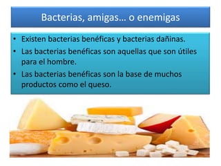 Bacterias, amigas… o enemigas
• Existen bacterias benéficas y bacterias dañinas.
• Las bacterias benéficas son aquellas que son útiles
para el hombre.
• Las bacterias benéficas son la base de muchos
productos como el queso.
 
