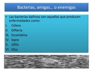 Bacterias, amigas… o enemigas
• Las bacterias dañinas son aquellas que producen
enfermedades como:
I. Cólera
II. Difteria
III. Escarlatina
IV. lepra
V. Sífilis
VI. tifus
 