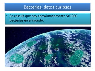 Bacterias, datos curiosos
• Se calcula que hay aproximadamente 5×1030
bacterias en el mundo.
 