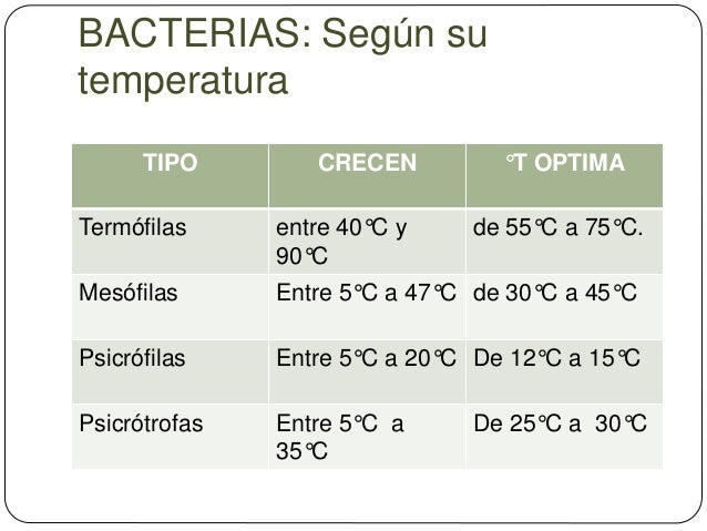 Bacterias