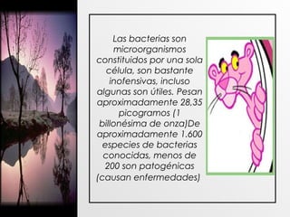 Las bacterias son
microorganismos
constituidos por una sola
célula, son bastante
inofensivas, incluso
algunas son útiles. Pesan
aproximadamente 28,35
picogramos (1
billonésima de onza)De
aproximadamente 1.600
especies de bacterias
conocidas, menos de
200 son patogénicas
(causan enfermedades)
 