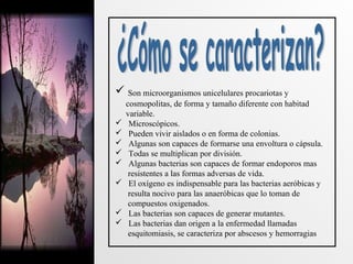  Son microorganismos unicelulares procariotas y    
     cosmopolitas, de forma y tamaño diferente con habitad  
     variable.
   Microscópicos.
   Pueden vivir aislados o en forma de colonias.
   Algunas son capaces de formarse una envoltura o cápsula.
   Todas se multiplican por división.
   Algunas bacterias son capaces de formar endoporos mas 
      resistentes a las formas adversas de vida.
   El oxígeno es indispensable para las bacterias aeróbicas y 
      resulta nocivo para las anaeróbicas que lo toman de 
      compuestos oxigenados.
   Las bacterias son capaces de generar mutantes.
   Las bacterias dan origen a la enfermedad llamadas 
      esquitomiasis, se caracteriza por abscesos y hemorragias 
 