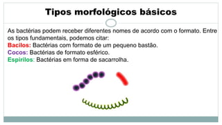 Tipos morfológicos básicos
As bactérias podem receber diferentes nomes de acordo com o formato. Entre
os tipos fundamentais, podemos citar:
Bacilos: Bactérias com formato de um pequeno bastão.
Cocos: Bactérias de formato esférico.
Espirilos: Bactérias em forma de sacarrolha.
 