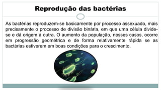 Reprodução das bactérias
As bactérias reproduzem-se basicamente por processo assexuado, mais
precisamente o processo de divisão binária, em que uma célula divide-
se e dá origem à outra. O aumento da população, nesses casos, ocorre
em progressão geométrica e de forma relativamente rápida se as
bactérias estiverem em boas condições para o crescimento.
 