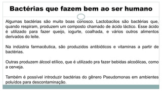 Bactérias que fazem bem ao ser humano
Algumas bactérias são muito boas conosco. Lactobacilos são bactérias que,
quando respiram, produzem um composto chamado de ácido láctico. Esse ácido
é utilizado para fazer queijo, iogurte, coalhada, e vários outros alimentos
derivados do leite.
Na indústria farmacêutica, são produzidos antibióticos e vitaminas a partir de
bactérias.
Outras produzem álcool etílico, que é utilizado pra fazer bebidas alcoólicas, como
a cerveja.
Também é possível introduzir bactérias do gênero Pseudomonas em ambientes
poluídos para descontaminação.
 