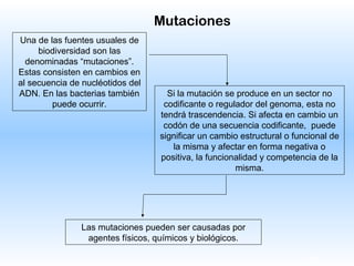 31
Una de las fuentes usuales de
biodiversidad son las
denominadas “mutaciones”.
Estas consisten en cambios en
al secuencia de nucléotidos del
ADN. En las bacterias también
puede ocurrir.
Si la mutación se produce en un sector no
codificante o regulador del genoma, esta no
tendrá trascendencia. Si afecta en cambio un
codón de una secuencia codificante, puede
significar un cambio estructural o funcional de
la misma y afectar en forma negativa o
positiva, la funcionalidad y competencia de la
misma.
Las mutaciones pueden ser causadas por
agentes físicos, químicos y biológicos.
Mutaciones
 