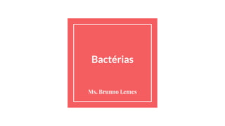 Bactérias
Ms. Brunno Lemes
 