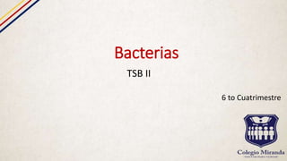 Bacterias
TSB II
6 to Cuatrimestre
 