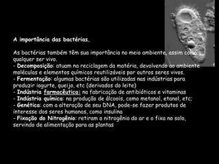 Bacterias | PPTX