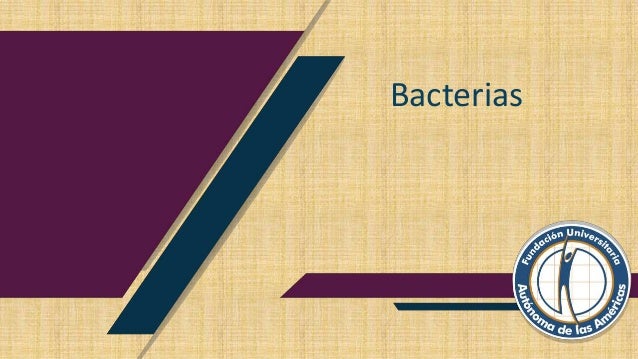 Bacterias 2 bacterias 1 638