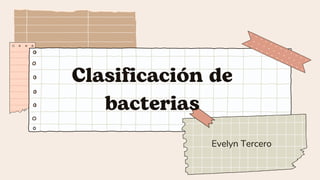 Clasificación de
bacterias
Evelyn Tercero
 