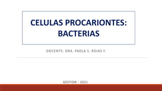DOCENTE: DRA. PAOLA S. ROJAS F.
CELULAS PROCARIONTES:
BACTERIAS
GESTION - 2021
 