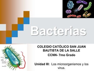Bacterias
COLEGIO CATÓLICO SAN JUAN
BAUTISTA DE LA SALLE
CCNN- 7mo Grado
Unidad III: Los microorganismos y los
virus.
 