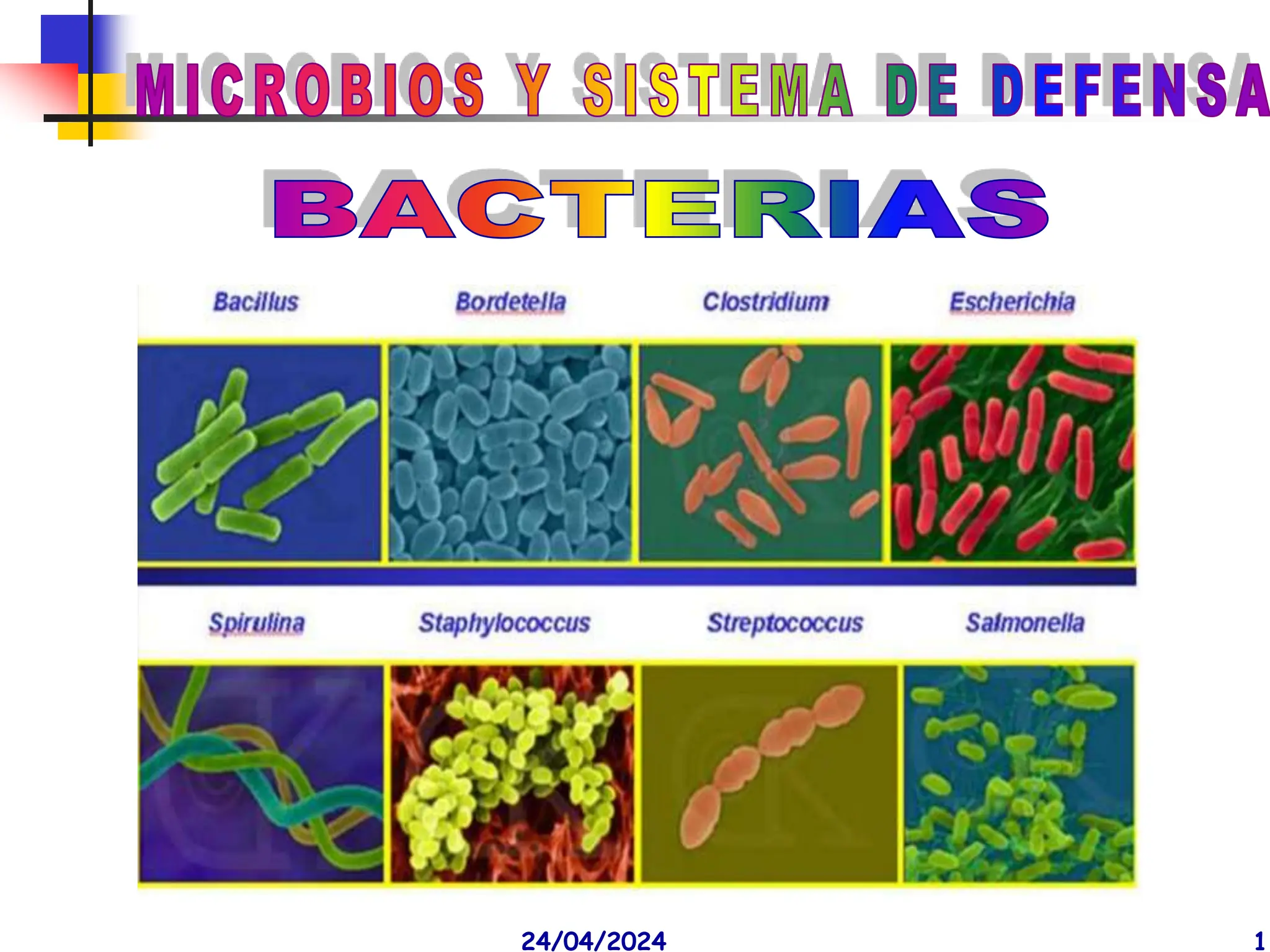 BACTERIAS pertemnecientes del reino monera , no poseen un nucleo definido,  su ADN se presenta desnudo y sin histonas | PPT