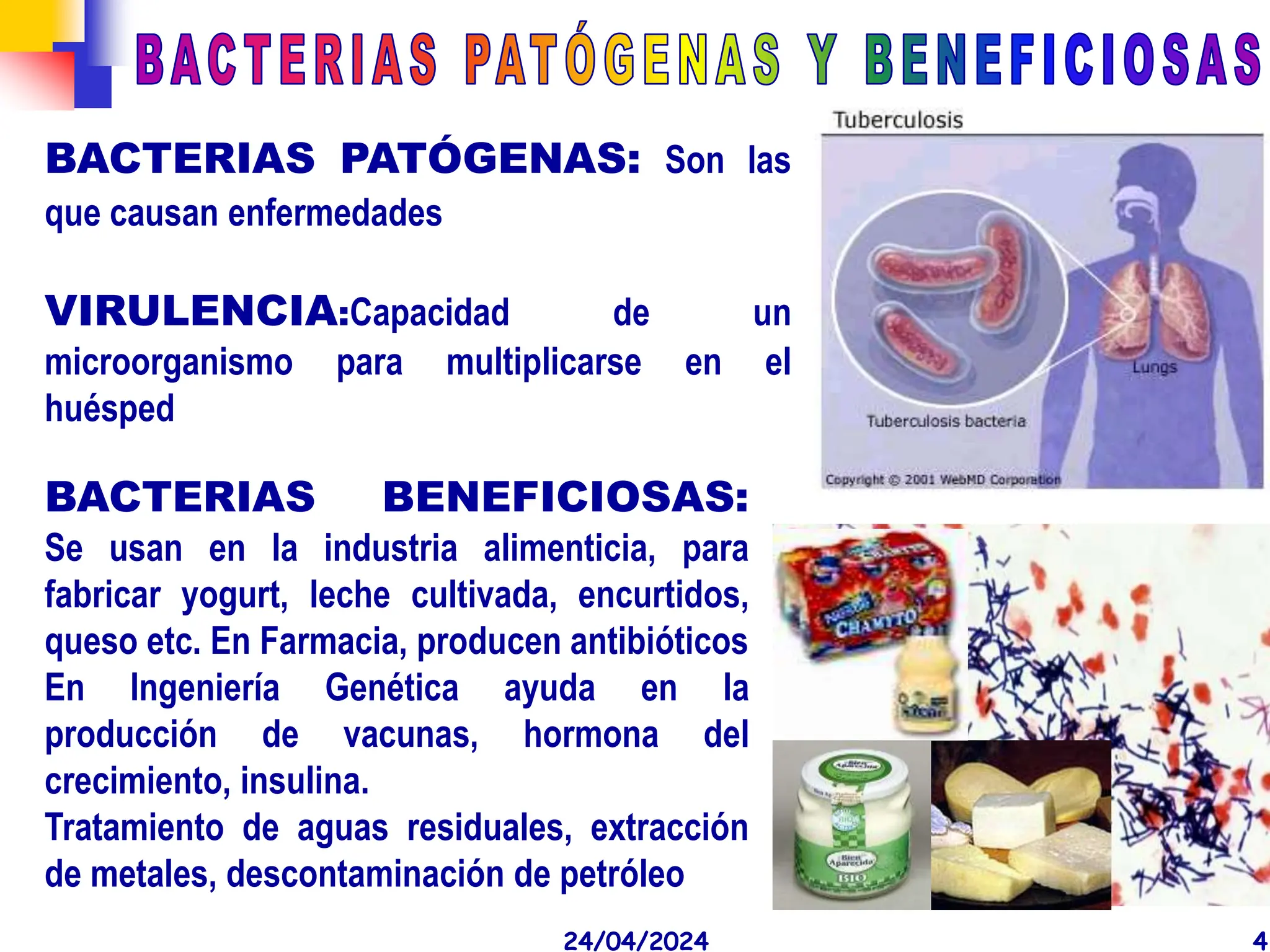 BACTERIAS pertemnecientes del reino monera , no poseen un nucleo definido,  su ADN se presenta desnudo y sin histonas | PPT